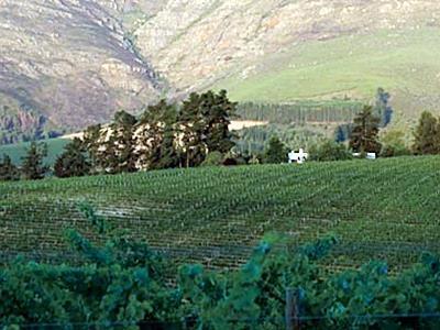 Mountain Cottages At Haskell Vineyard Stellenbosch Eksteriør billede